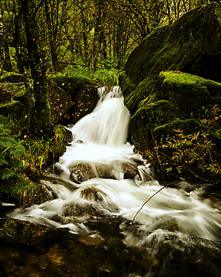 포토 JPG 해외이미지 나무 유럽 자연 산 북유럽 노르웨이 풍경 사람없음 야외 물 폭포 가을 암초 삼림지대 스칸디나비아 해외202004 해외포토 자연요소 식물 계절 나라 숲 생태계 파일형식 이미지허브