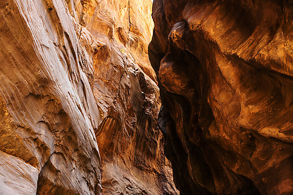 포토 JPG 해외이미지 공원 벽 여행 북아메리카 자연 숙이기 풍경 사람없음 야외 물 강 환경 계곡 미국 산책 땅 부식 좁은 방문 목각 깊이 서쪽 시온산 전국 세련 해외202004 해외포토 자연요소 공공시설 포즈 휴식 아메리카 방향 생태계 파일형식 이미지허브