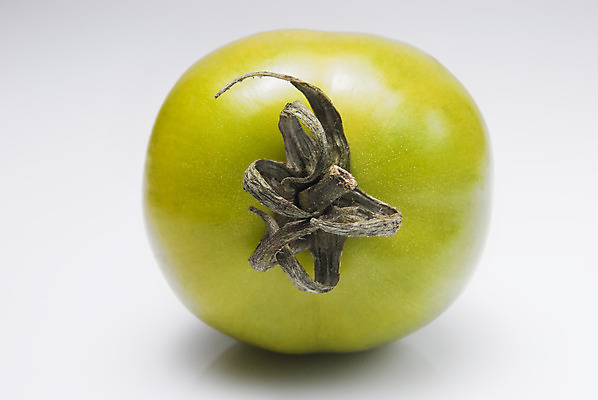 포토 JPG 해외이미지 음식 채소 과일 건강 사람없음 가로 초록색 신선 건강식 해외202004 해외포토 컬러 파일형식 이미지허브