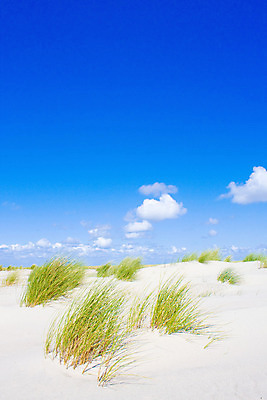 포토 JPG 해외이미지 구름 유럽 모래 바다 섬 여행 자연 하늘 바람 날씨 휴가 독일 풍경 사람없음 야외 초록색 여름 파란색 맑음 봄 모래언덕 네덜란드 북쪽 해외202004 해외포토 자연요소 계절 나라 컬러 방향 언덕 생태계 파일형식 이미지허브