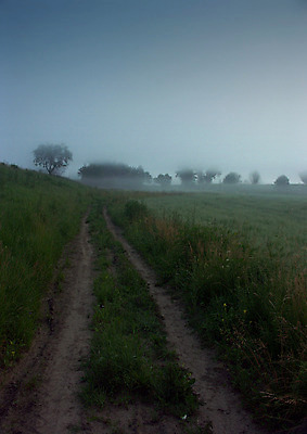 포토 JPG 해외이미지 나무 자연 아침 날씨 풍경 사람없음 컬러풀 햇빛 어둠 추위 안개 가을 농촌 신비 카피스페이스 해외202004 해외포토 주간 식물 계절 컬러 컨셉 태양 공백 시골 생태계 파일형식 이미지허브