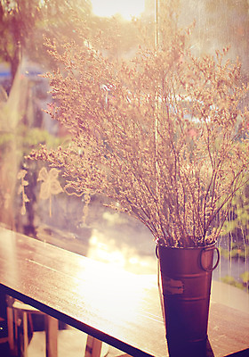 포토 JPG 해외이미지 식물 꽃잎 꽃 꽃다발 백그라운드 잎 창문 자연 건조 사람없음 장식 빨간색 컬러풀 햇빛 노란색 가을 흰색 복고 내추럴 효과 해외202004 해외포토 계절 컬러 태양 생태계 파일형식 이미지허브