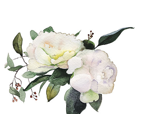 JPG 해외이미지 식물 꽃 꽃다발 일러스트 붓터치 수채화 선물 사람없음 그림 번짐 작약 해외202004 해외일러스트 파일형식 효과 이미지허브