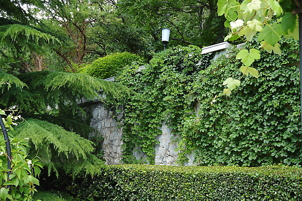 포토 JPG 해외이미지 나무 식물 외관 공원 꽃 문화 벽 백그라운드 잎 꽃무늬 패턴 건축양식 자연 벽돌 돌담 사람없음 야외 건물 초록색 우주 정원 힘 봄 활발 골동품 성장 나뭇가지 거친 분위기 덩굴 질감 시멘트 아이비 정맥 내추럴 그런지 석고 옛날 인공 해외202004 해외포토 건축물 계절 공공시설 건축 컬러 컨셉 무늬 담장 돌_바위 생태계 혈관 파일형식 이미지허브