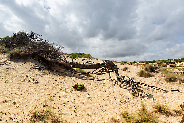 포토 JPG 해외이미지 나무 계절 공원 유럽 야생동물 바다 여행 백그라운드 자연 하늘 날씨 휴가 휴식 산 풍경 사람없음 야외 초록색 물 여름 파란색 스페인 지중해 내추럴 스페인어 해외202004 해외포토 자연요소 식물 동물 공공시설 나라 컬러 컨셉 생태계 파일형식 이미지허브