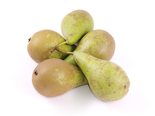 포토 JPG 해외이미지 음식 다이어트 과일 건강 사람없음 초록색 주스 가을 신선 그룹 맛 유기농 날것 건강식 내추럴 숙성 채식주의자 해외202004 해외포토 웰빙 계절 음료 컬러 컨셉 채식 파일형식 이미지허브