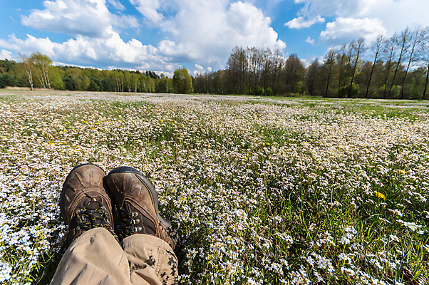 포토 JPG 해외이미지 나무 식물 구름 계절 꽃 백그라운드 잎 밭 농업 자연 하늘 아침 날씨 풍경 잔디 사람없음 야외 초록색 여름 파란색 빛 컬러풀 햇빛 태양 농장 노란색 일출 환경 맑음 일몰 봄 자유 성장 흰색 시골 신선 땅 장면 내추럴 수평선 해외202004 해외포토 주간 자연요소 산업 컬러 컨셉 노을 생태계 파일형식 이미지허브
