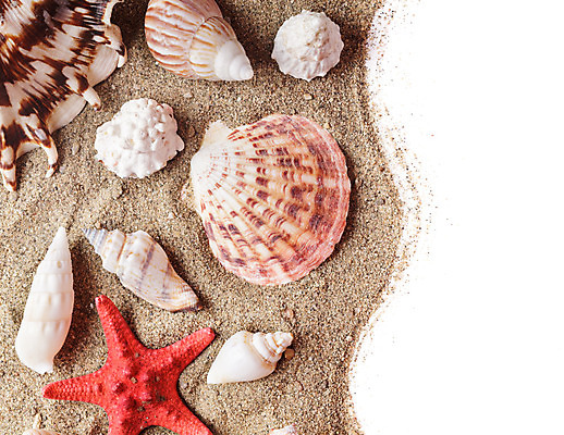 포토 JPG 해외이미지 디자인 별 모래 파도 바다 여행 백그라운드 컨셉 패턴 자연 휴가 조개 휴식 열대 불가사리 프레임 어류 사람없음 껍질 흰색 그룹 소라 수집 질감 기념품 내추럴 이국적 파라다이스 해외202004 해외포토 자연요소 컬러 무늬 어패류 극피동물 수중동물 오브젝트 생태계 파일형식 이미지허브