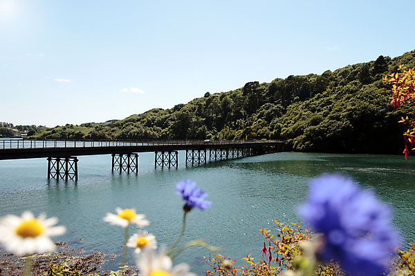포토 JPG 해외이미지 나무 구름 디자인 꽃 도로 호수 여행 십자가 패턴 건축양식 하늘 새로움 프레임 안전 풍경 사람없음 야외 물 여름 파란색 강 반사 금속 맑음 힘 시골 기둥 연결 데이지 장면 코르크 아일랜드 공학 건너기 넘어짐 철강 콘크리트 해외202004 해외포토 자연요소 식물 계절 교육 건축 유럽 길 컬러 컨셉 무늬 교통시설 모션 재질 날씨 파일형식 이미지허브
