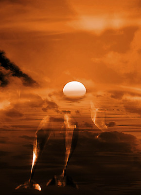 포토 JPG 해외이미지 동물 행복 아들 야생동물 바다 포유류 놀이 하늘 생물 미소 사람없음 초록색 물 파란색 반사 점프 수영 힘 기쁨 광선 게임 시간 떨어짐 돌고래 쇼 태평양 수영선수 대야 지능 해외202004 해외포토 자연요소 감정 컬러 컨셉 가족 모션 운동선수 표정 수중동물 수상스포츠 파일형식 이미지허브