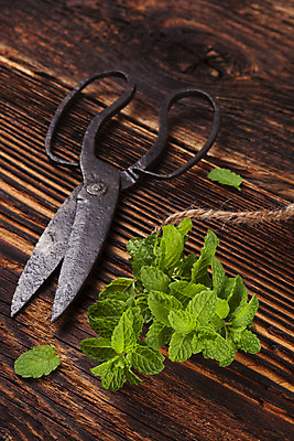 포토 JPG 해외이미지 식물 전통 계절 음식 백그라운드 잎 농업 재료 자연 건강 요리 사람없음 목재 세로 초록색 갈색 봄 수확 시골 신선 양념 조미료 다발 민트 허브 향신료 보따리 유기농 향 내추럴 옛날 해외202004 해외포토 나무 웰빙 산업 컬러 생태계 향미료 파일형식 이미지허브