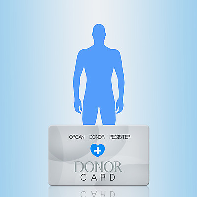 포토 JPG 해외이미지 실루엣 일러스트 해부 건강 병원 사람없음 약 하트 신용카드 오르간 허파 질병 간 외과 해외202004 해외포토 모양 의학 촬영기법 금융 장기_의학 건반악기 호흡기관 파일형식 이미지허브