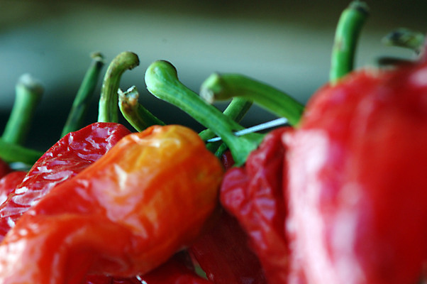 포토 JPG 해외이미지 음식 줄기 백그라운드 패턴 농업 다이어트 채소 고추 피망 파프리카 건강 요리 사람없음 빨간색 초록색 농작물 젖음 수확 물방울 나뭇가지 신선 후추 채식주의자 해외202004 해외포토 나무 식물 산업 컬러 무늬 향신료 채식 파일형식 이미지허브