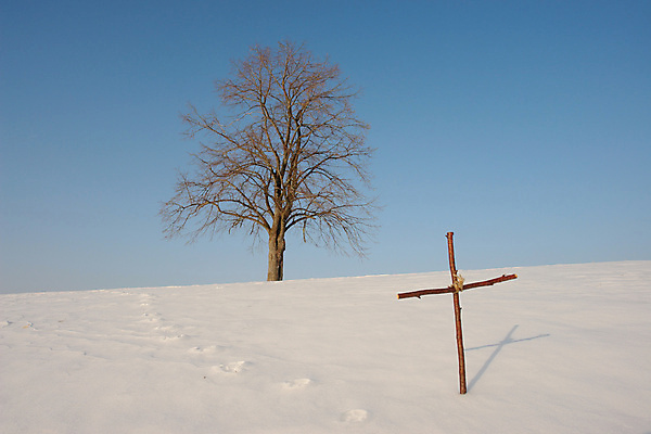 포토 JPG 해외이미지 나무 계절 기독교 조각 백그라운드 십자가 크리스마스 겨울 자연 하늘 부활절 사람없음 파란색 빛 교회 얼음 성경 추위 안개 흰색 시간 예수 눈송이 크리스탈 열정 고드름 신앙심 엘리먼트 폭설 해외202004 해외포토 자연요소 식물 기념일 감정 종교 컬러 종교용품 종교건축 날씨 눈_날씨 건물 신_종교 광석 자연재해 생태계 파일형식 이미지허브