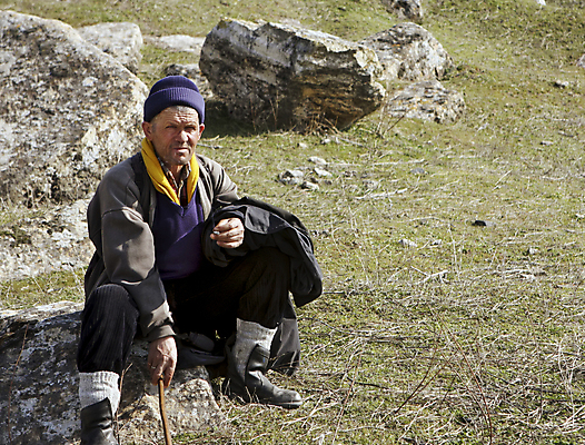 포토 JPG 해외이미지 한명 가축 양 해외202004 해외포토 동물 1 포유류 사람 파일형식 이미지허브