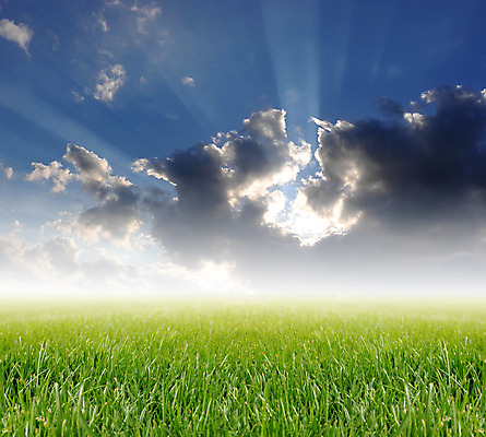 포토 JPG 해외이미지 식물 계절 백그라운드 밭 자연 벽지 하늘 풍경 잔디 사람없음 야외 초록색 여름 파란색 빛 농장 정원 맑음 봄 활발 땅 에코 내추럴 생태학 수평선 해외202004 해외포토 교육 컬러 컨셉 농업 날씨 환경 생태계 파일형식 이미지허브