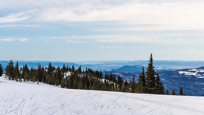 포토 JPG 해외이미지 나무 구름 스포츠 여행 겨울 자연 하늘 휴가 스키 휴식 산 파노라마 풍경 경사 사람없음 야외 파란색 태양 평화 계곡 냉동 얼음 추위 흰색 소나무 가루 고도 언덕 휴양지 선로 절정 눈내림 해외202004 해외포토 자연요소 식물 계절 컬러 컨셉 겨울스포츠 눈_날씨 촬영기법 장소 생태계 파일형식 이미지허브