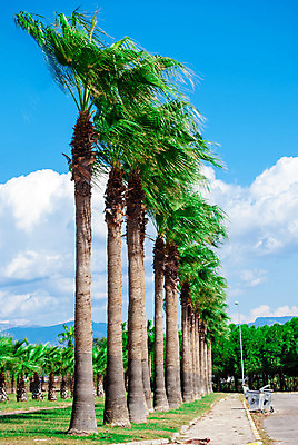 포토 JPG 해외이미지 전통 배너 외관 유럽 아시아 별 문화 파도 바다 여행 백그라운드 하늘 바람 풍경 사람없음 야외 건물 옆모습 빨간색 여름 파란색 항구 맑음 흰색 깃발 도시 성 역사 황금 지중해 심볼 언덕 사인 폐허 동쪽 그리스인 옛날 이국적 전국 해외202004 튀르키예 해외포토 자연요소 서양인 건축물 계절 나라 뷰포인트 컬러 교통시설 날씨 방향 파일형식 이미지허브