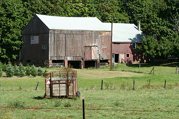 포토 JPG 해외이미지 밭 농업 날씨 풍경 사람없음 건물 목재 초록색 농장 농촌 시골 널 버리기 외양간 옛날 해외202004 해외포토 나무 건축물 산업 컬러 재료 모션 파일형식 이미지허브