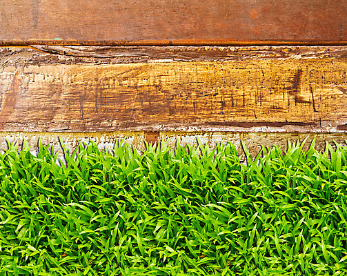 포토 JPG 해외이미지 식물 디자인 계절 스포츠 백그라운드 컨셉 잎 꽃무늬 밭 농업 골프 자연 추상 프레임 건강 풍경 잔디 사람없음 목재 초록색 여름 농경지 갈색 환경 봄 테니스 신선 자르기 유기농 질감 레이아웃 정사각형 장면 거짓 고립 대패 평야 수평선 해외202004 해외포토 도형 나무 웰빙 꽃 산업 컬러 무늬 재료 모션 농장 구기 생태계 파일형식 이미지허브