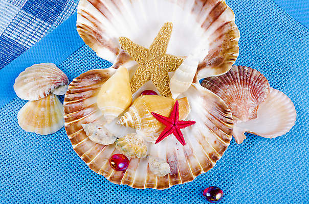 포토 JPG 해외이미지 모래 바다 분홍색 섬 백그라운드 크리스마스 오렌지 자연 휴가 조개 휴식 불가사리 새로움 따뜻함 건강 사람없음 물 파란색 갈색 스파 꿈 껍질 흰색 행운 씻기 오브젝트 홍합 테라피 정물화 해외202004 해외포토 자연요소 기념일 컬러 컨셉 과일 어패류 극피동물 뷰티 청결 그림 생태계 파일형식 이미지허브