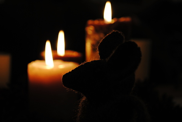 포토 JPG 해외이미지 실루엣 크리스마스장식 크리스마스 불 휴가 조명 사람없음 장식 빛 시골 쥐 부드러움 신성 해외202004 해외포토 자연요소 기념일 촬영기법 감각 설치류 파일형식 이미지허브