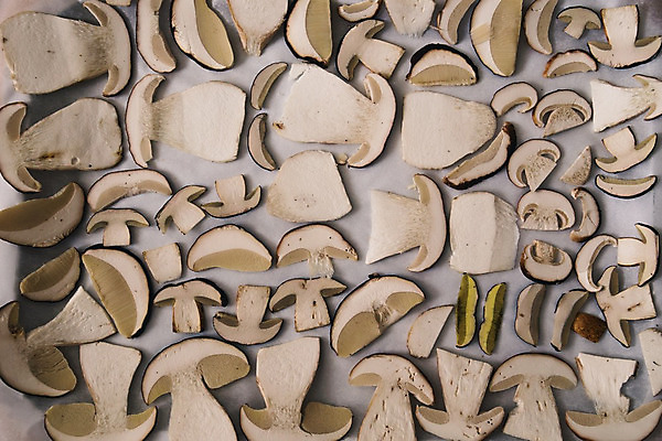 포토 JPG 해외이미지 음식 조각 백그라운드 밭 농업 다이어트 채소 재료 자연 추상 건강 요리 사람없음 갈색 주방 버섯 흰색 신선 시장 맛 정상 자르기 먹기 유기농 질감 날것 슬라이스 내추럴 고립 곰팡이 식용 채식주의자 해외202004 해외포토 웰빙 산업 컬러 컨셉 무늬 모션 생태계 채식 파일형식 이미지허브