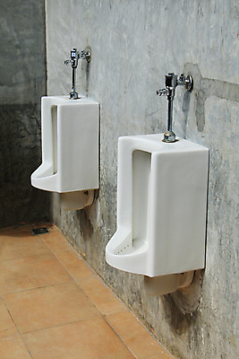 포토 JPG 해외이미지 남자 휴식 사람없음 내부 방 욕실 화장실 일반 변기통 줄서기 해외202004 해외포토 컨셉 모션 사람 파일형식 이미지허브