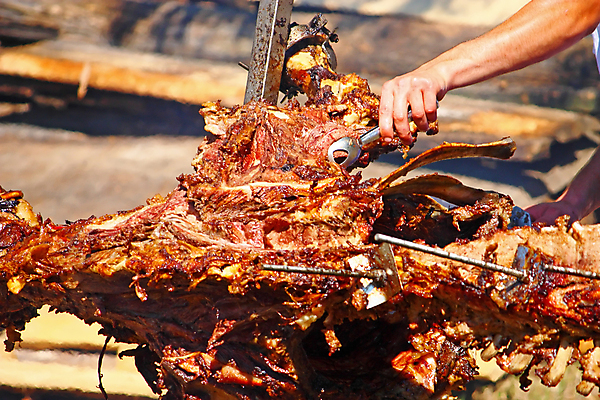 포토 JPG 해외이미지 음식 불 육류 요리 사람없음 야외 목재 요리사 축제 소고기 소 꼬치 바비큐 굽기 벽난로 재 정육점 해외202004 해외포토 자연요소 나무 직업 식재료 재료 포유류 상점 구이 파일형식 이미지허브