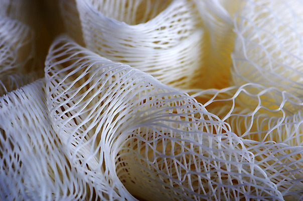 포토 JPG 해외이미지 백그라운드 패턴 표면 추상 건조 사람없음 파란색 빛 주방 목욕 공백 거품 욕실 구멍 거친 닫기 씻기 빨래 묘사 질감 퍼프 부드러움 섬유 세탁기 청소부 베이스 샤워실 더스트파티클 셀룰러 해외202004 해외포토 직업 컬러 가사 무늬 모션 현악기 청결 가전제품 직물 감각 샤워시설 파일형식 이미지허브