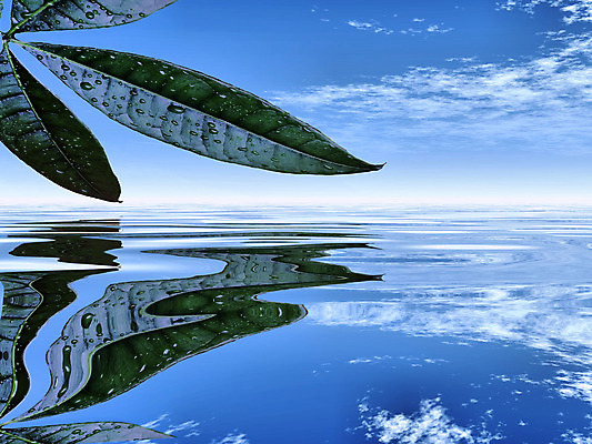 포토 JPG 해외이미지 주간 식물 구름 호수 바다 여행 백그라운드 잎 자연 하늘 휴가 매달리기 사람없음 야외 초록색 여름 파란색 빛 컴퓨터 야자수 반사 흰색 수면 내추럴 발생 이국적 파라다이스 해외202004 해외포토 자연요소 나무 계절 컬러 모션 물 전자제품 생태계 파일형식 이미지허브