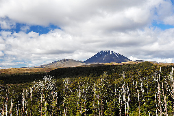 포토 JPG 해외이미지 구름 자연 산 국립공원 풍경 사람없음 촬영 폭발 땅 필름 화산 뉴질랜드 지역 분화구 용암 내추럴 재 지질학 해외202004 해외포토 자연요소 공원 교육 오세아니아 생태계 파일형식 이미지허브