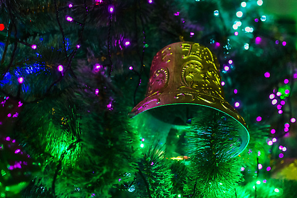 포토 JPG 해외이미지 나무 전통 디자인 행복 별 백그라운드 크리스마스 겨울 노래 텍스트 휴가 전등 새로움 프레임 사람없음 장식 초록색 빛 갈색 우주 검은색 축제 장식볼 수확 종 축하 인사 신용카드 황금 고급 은색 연도 오브젝트 복고 2018년 고립 엘리먼트 옛날 2017년 카피스페이스 해외202004 해외포토 자연요소 식물 계절 기념일 감정 음악 컬러 컨셉 농업 조명 금융 공백 예절 파일형식 이미지허브