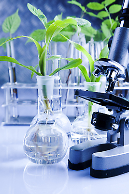 포토 JPG 해외이미지 식물 실내 현미경 실험 사람없음 화학 실험실 시험관 화학실험 해외202004 해외포토 과학 실험기구 내부 파일형식 이미지허브