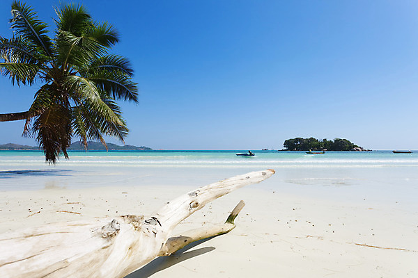 포토 JPG 해외이미지 모래 여행 아프리카 하늘 휴가 휴식 사람없음 목재 물 여름 야자수 햇빛 엽서 인도양 세이셸 해외202004 해외포토 자연요소 나무 계절 나라 바다 컨셉 재료 태양 편지 파일형식 이미지허브