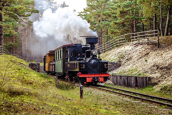 포토 JPG 해외이미지 나무 외관 유럽 어린이 여행 교통시설 사람없음 야외 초록색 여름 기차 역사 수증기 흔적 좁은 마차 승객 엔진 게이지 선로 해외202004 해외포토 식물 계절 나라 육상교통 교통수단 컬러 교통 대중교통 사람 시설 파일형식 이미지허브