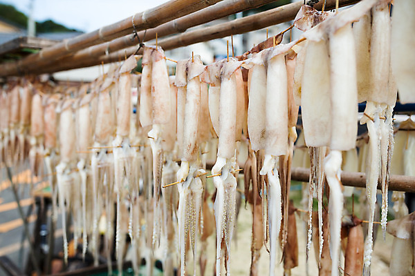 포토 JPG 해외이미지 동물 전통 산업 아시아 문화 음식 바다 자연 하늘 낚시 프레임 건조 매달리기 건강 육류 서기 풍경 사람없음 야외 목재 여름 햇빛 태양 식당 일본 만 뜨거움 그룹 시장 먹기 해산물 오징어 질감 문어 촉수 단백질 해외202004 해외포토 자연요소 나무 계절 나라 식재료 재료 모션 레저 연체동물 빛 상점 수중동물 생태계 영양소 파일형식 식물 무척추동물 이미지허브