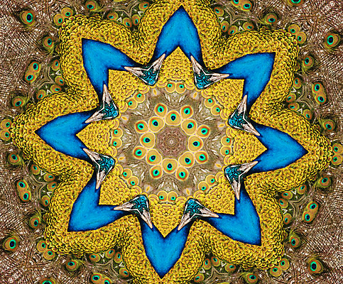 포토 JPG 해외이미지 모양 디자인 꽃 별 분홍색 꽃다발 백그라운드 꽃무늬 패턴 자연 유리 추상 기술 창조 미술 사람없음 장식 빛 반사 3D 활발 벚꽃 원형 그룹 변화 재산 공작 크리스탈 명상 그림 만들기 노력 광 대칭 스펙트럼 더스트파티클 시리즈 해외202004 해외포토 자연요소 도형 식물 컬러 컨셉 무늬 모션 재질 조류 문화예술 금융 광석 디지털합성 생태계 파일형식 이미지허브