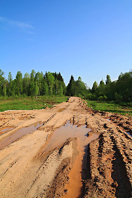 포토 JPG 해외이미지 나무 식물 공원 도로 길 모래 여행 잎 곡선 자연 휴가 건조 사람없음 야외 목재 빨간색 물 빛 걷기 환경 어둠 침묵 봄 나뭇가지 시골 소나무 황무지 고독 큼 버리기 싱글 웅덩이 먼지 장면 지역 북쪽 멀리 자작나무 굴곡 생태학 옛날 자취 노화 해외202004 해외포토 자연요소 계절 공공시설 교육 감정 선 컬러 컨셉 재료 교통시설 모션 소리 크기 방향 생태계 파일형식 이미지허브