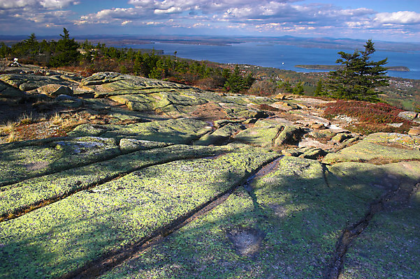포토 JPG 해외이미지 나무 식물 공원 실루엣 백그라운드 단풍 잎 패턴 오렌지 자연 불 추상 휴식 잉글랜드 사람없음 목재 빨간색 초록색 물 빛 태양 반사 노란색 정원 침묵 고요 가을 나뭇가지 시골 연못 시간 개울 숲 질감 자작나무 내추럴 해외202004 해외포토 자연요소 계절 공공시설 컬러 컨셉 무늬 과일 재료 영국 촬영기법 강 소리 생태계 파일형식 이미지허브