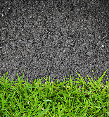 포토 JPG 해외이미지 식물 계절 밭 자연 날씨 풍경 잔디 사람없음 야외 초록색 여름 빛 농장 농경지 환경 자유 성장 광선 시골 아스팔트 땅 허브 언덕 싱글 장면 수평선 해외202004 해외포토 도로 컬러 컨셉 농업 생태계 파일형식 이미지허브