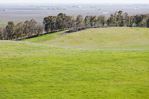 포토 JPG 해외이미지 나무 식물 꽃 도로 길 밭 농업 자연 하늘 산 주택 씨앗 풍경 사람없음 야외 초록색 여름 농작물 햇빛 농가 농장 농경지 흙 봄 시골 그늘 땅 시리얼 뿌리기 언덕 땅바닥 호밀 목가 세련 해외202004 해외포토 계절 산업 음식 컬러 교통시설 모션 곡류 바닥 건물 태양 생태계 파일형식 이미지허브