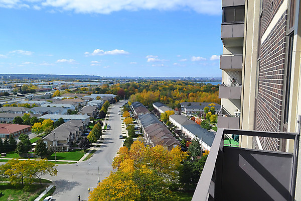 포토 JPG 해외이미지 나무 구름 라이프스타일 외관 건축양식 하늘 부동산 벽돌 아파트 주택 사람없음 야외 건물 햇빛 발코니 도시 재산 큼 은퇴 아래 묘사 투자 콘도 연립주택 리빙 대여 복잡 진짜 해외202004 해외포토 자연요소 식물 건축물 건축 컨셉 비즈니스 숙소 생활 금융 태양 크기 방향 위치 파일형식 이미지허브