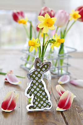 포토 JPG 해외이미지 꽃 봄꽃 휴가 부활절 발렌타인데이 종류 사랑 사람없음 목재 장식 빨간색 컬러풀 노란색 꽃병 봄 활발 튤립 수확 벚꽃 하트 시골 신선 생일 개화 수선화 강렬 카피스페이스 해외202004 해외포토 모양 나무 식물 계절 기념일 감정 컬러 컨셉 농업 재료 데이이벤트 공백 파일형식 이미지허브