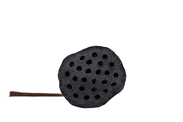 포토 JPG 해외이미지 식물 꽃잎 꽃 아시아 종교 길 클리핑패스 음식 분홍색 백그라운드 잎 꽃무늬 자연 건조 건강 연꽃 미술 씨앗 동양인 사람없음 초록색 물 컬러풀 검은색 벚꽃 흰색 기도 죽음 신선 백합 자르기 심볼 흰배경 시들음 내추럴 고립 꼬투리 썩음 옛날 해외202004 해외포토 자연요소 나라 컬러 무늬 모션 문화예술 인종 생태계 파일형식 이미지허브