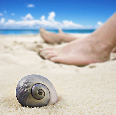 포토 JPG 해외이미지 동물 라이프스타일 웰빙 모래 바다 섬 여행 맨발 자연 휴가 조개 휴식 함께함 발렌타인데이 창조 사랑 사람 해변 사람없음 야외 물 파란색 여행객 환경 맑음 화목 껍질 휴양지 생물학 양발 파라다이스 해외202004 해외포토 자연요소 교육 감정 컬러 컨셉 발 데이이벤트 날씨 어패류 생활 장소 생태계 파일형식 이미지허브