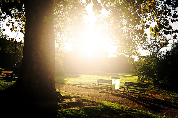 포토 JPG 해외이미지 나무 공원 꽃 밭 농업 벤치 자연 하늘 아침 불꽃 따뜻함 풍경 사람없음 야외 초록색 햇빛 태양 농장 노란색 일출 정원 계곡 일몰 봄 새벽 기쁨 성장 시골 신선 지역 남쪽 회복 해외202004 해외포토 주간 자연요소 식물 계절 공공시설 감정 산업 컬러 컨셉 의자 불 노을 방향 생태계 파일형식 이미지허브
