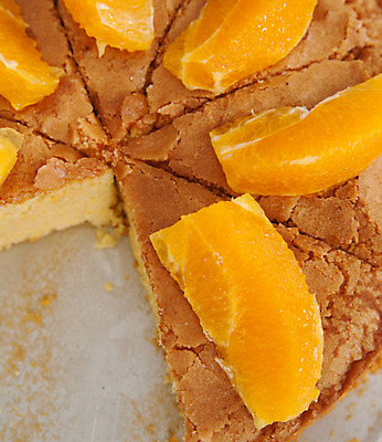 포토 JPG 해외이미지 스튜디오촬영 오렌지 디저트 실내 사람없음 가로 케이크 흰색 달콤 굽기 빛망울 살구 타르트 해외202004 해외포토 음식 빵 컬러 과일 내부 빛 맛 구이 파이_빵 파일형식 이미지허브