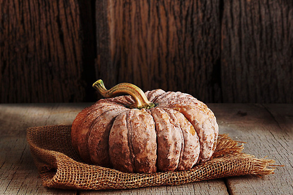 포토 JPG 해외이미지 식물 계절 음식 줄기 백그라운드 밭 농업 채소 오렌지 과일 자연 탁자 호박 휴가 주택 건강 그림자 요리 사람없음 목재 장식 농작물 농장 주방 축제 어둠 침묵 할로윈 수확 가을 신선 널 11월 삼베 심볼 복고 자루 박 추수감사절 10월 내추럴 숙성 옛날 정물화 채식주의자 해외202004 해외포토 나무 산업 기독교 가구 재료 건물 소리 날짜 그림 생태계 채식 파일형식 천_직물 이미지허브