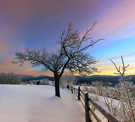 포토 JPG 해외이미지 나무 계절 여행 백그라운드 크리스마스 겨울 자연 하늘 동화 휴가 산 핀란드 풍경 사람없음 야외 목재 파란색 햇빛 태양 냉동 얼음 놀람 추위 덮개 백발 축하 숲 즐거움 서리 전나무 강렬 완벽 눈내림 가문비나무 환상 해외202004 해외포토 자연요소 식물 헤어스타일 기념일 감정 컬러 컨셉 재료 눈_날씨 표정 북유럽 뚜껑 생태계 파일형식 이미지허브